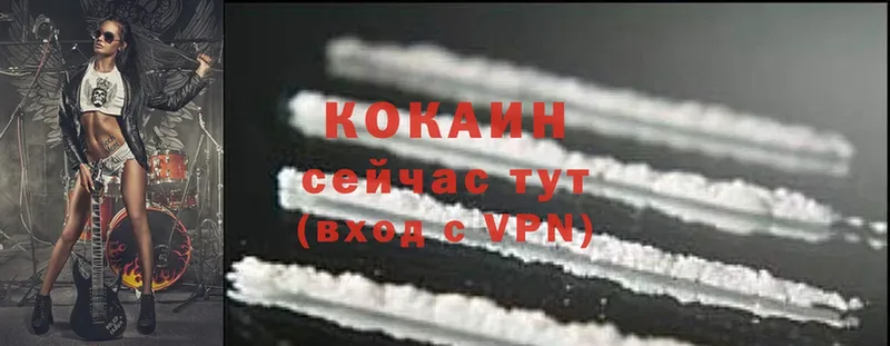 купить закладку  Лиски  Cocaine Columbia 